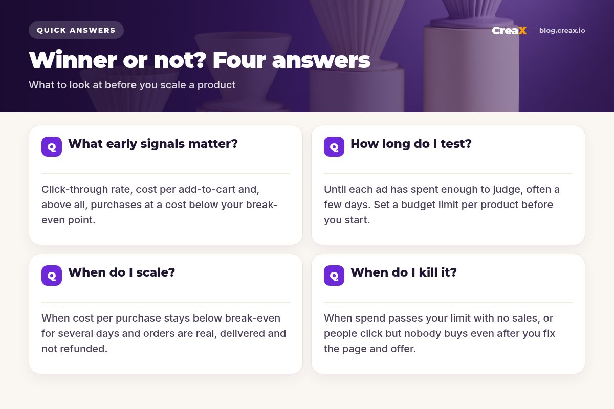FAQ card with four answers: which early signals matter, how long to test, when to scale and when to kill a product.