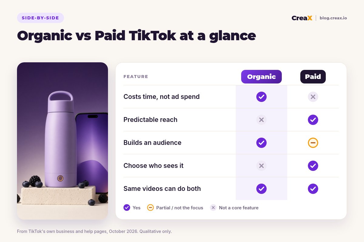 Comparison card, Organic vs Paid TikTok at a glance: organic costs time not ad spend and builds an audience; paid gives predictable reach and lets you choose who sees it; the same videos can do both.